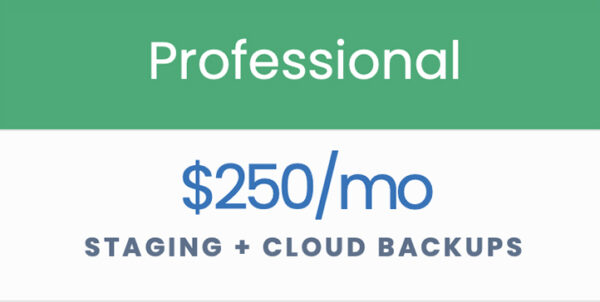 Professional